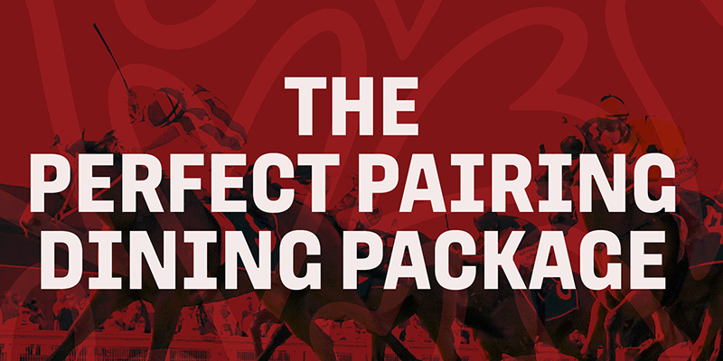 The Perfect Pairing Thumbnail