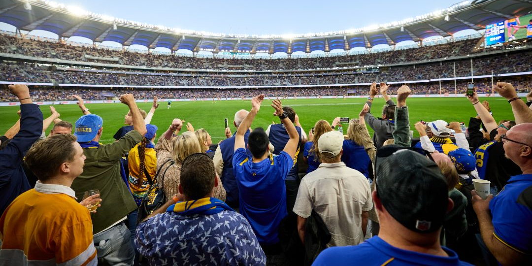 Field Suite Thumbnail