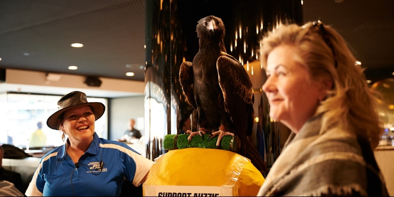 Premiership Lounge 2