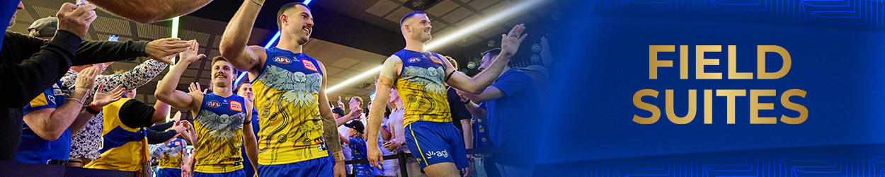 Field Suite 3