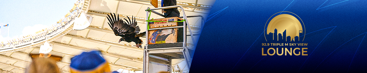 Sky View Banner 3